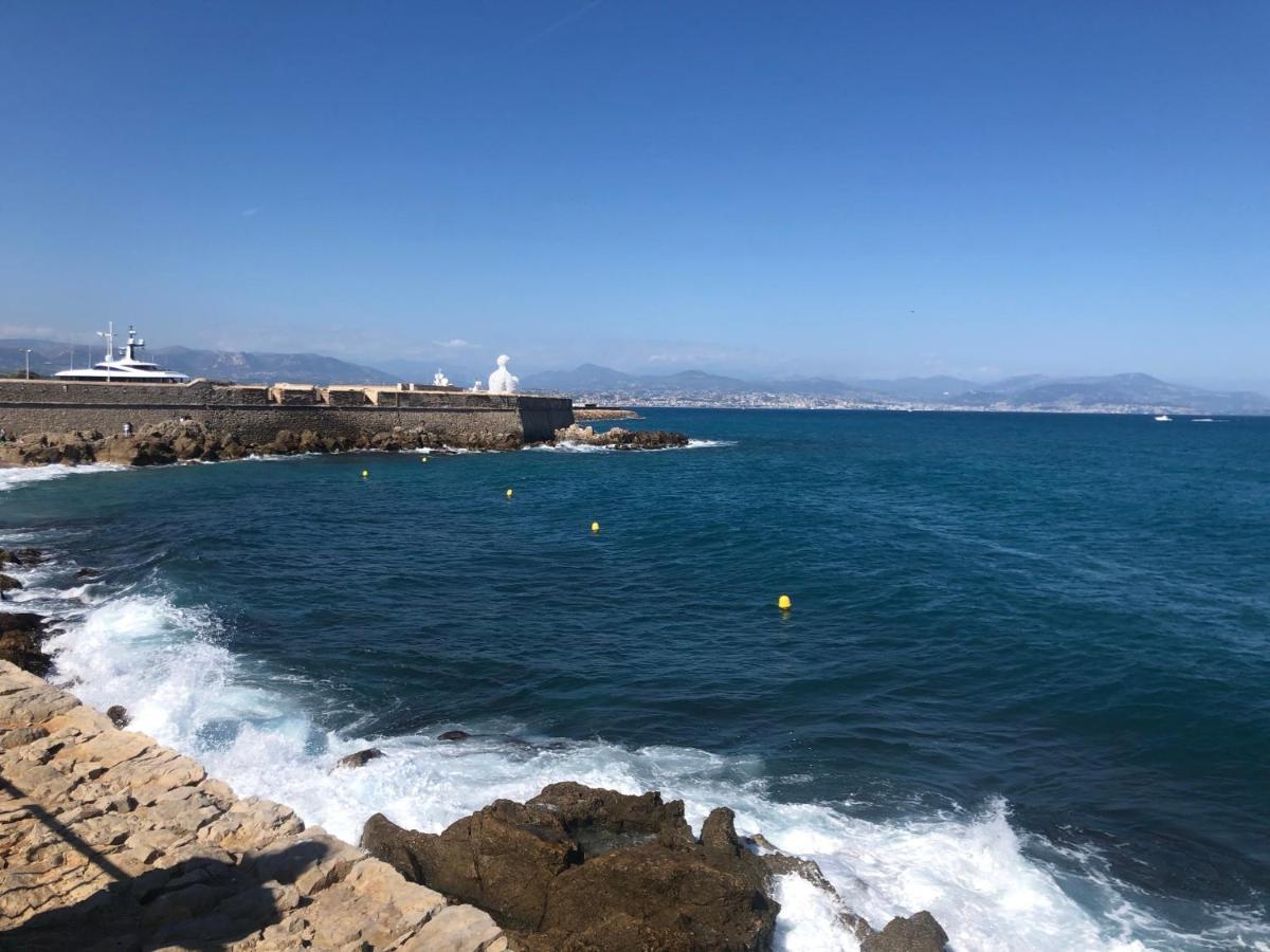 Vieil Antibes, Ravissant 2P Avec Petite Terrasse 아파트 외부 사진